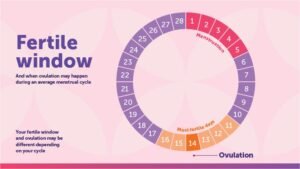 to help all ladies want to conceive